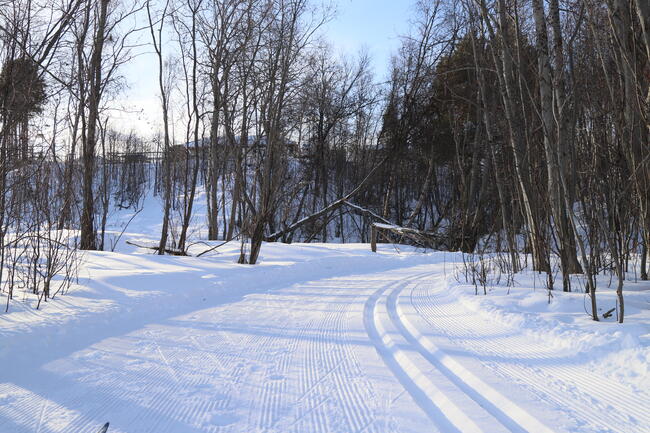 Skispor vinter byløype