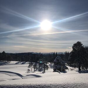 Vinteridyll på Jårakjølen. Foto: Marthe Eid