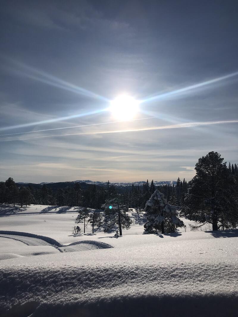 Vinteridyll på Jårakjølen. Foto: Marthe Eid