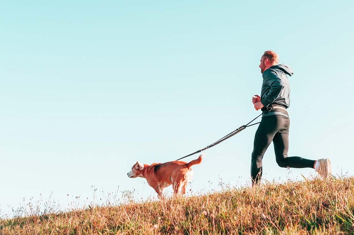 Å løpe med hund er topp og man får slått en del fluer i samme smekk. Man får trent seg selv, man får trent hunden og man får luftet den. (Foto: Canva)