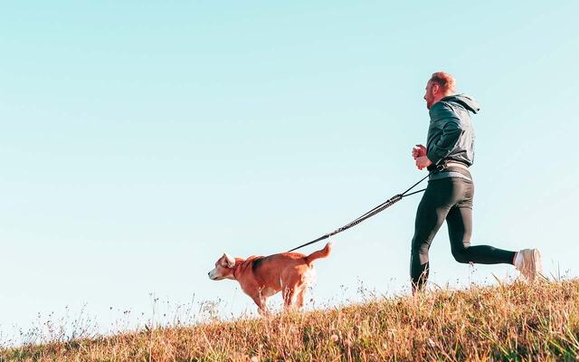 Å løpe med hund er topp og man får slått en del fluer i samme smekk. Man får trent seg selv, man får trent hunden og man får luftet den. (Foto: Canva)