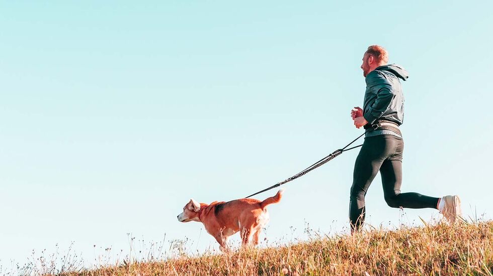 Å løpe med hund er topp og man får slått en del fluer i samme smekk. Man får trent seg selv, man får trent hunden og man får luftet den. (Foto: Canva)
