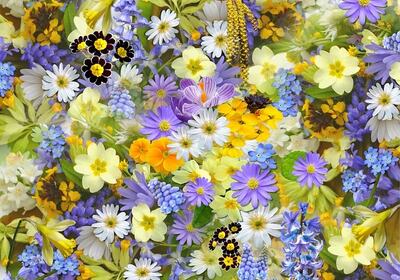 spring-flowers-110671_640