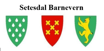 Kommunane i Setesdal barnevern er ikkje råka av feilen i Nasjonal portal for bekymringsmeldingar.