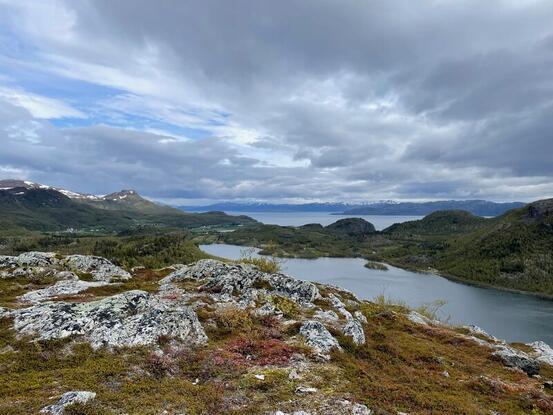 Utsikt fra Svartberget mot Talvik
