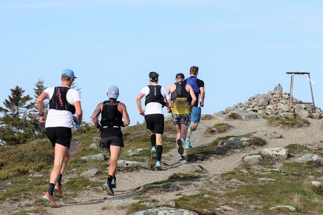 Ultrabirkebeinere på vei over Sjusjøfjellet i flott sommervær i 2023. (Foto: Rolf Bakken)