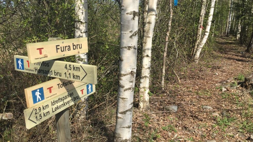 Årets HHT Ultra følger bl.a. Ilsengstiene som ble kåret til Norges beste turrute i 2019. (Foto: Margrethe Ruud Skjeseth)