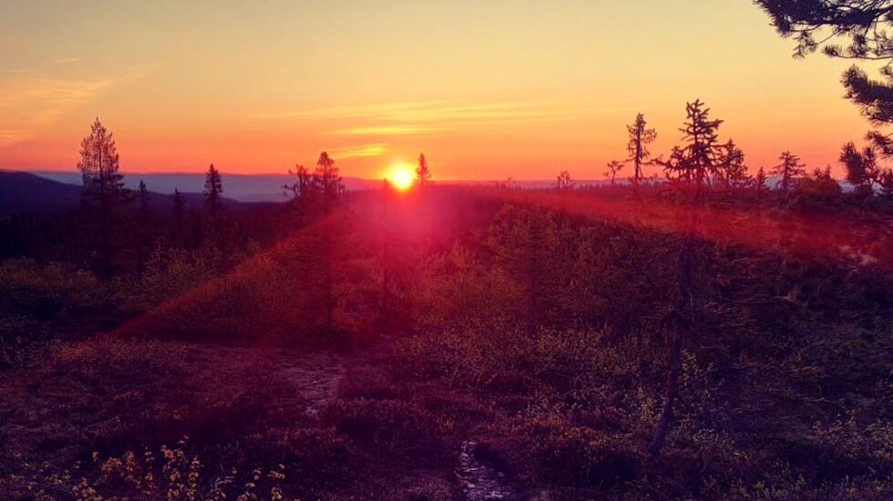 En uforglemmelig soloppgang på Hedmarksvidda foreviget av deltaker Elise Sangolt Hedãlv.