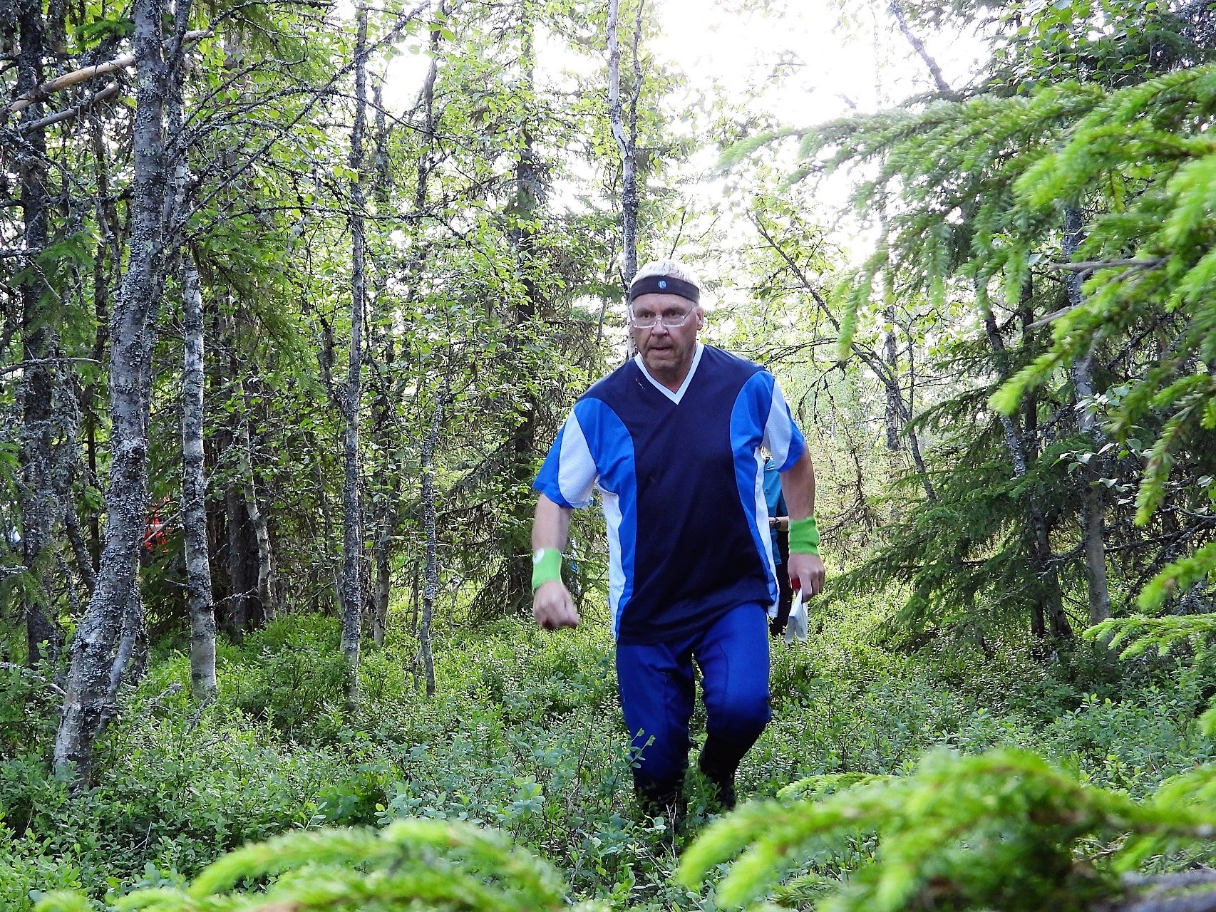 Morten ¥ye trives i skogen til Furnes Almenning.jpg