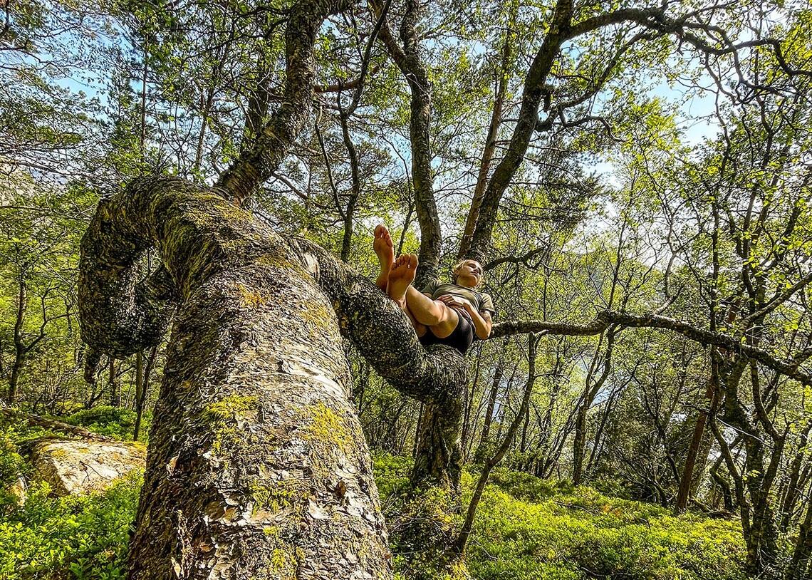 Naturnær: Å løpe – og klatre – barbeint kan være en måte å komme nærmere naturen på. (Foto: Nicholas Forstrønen Bruarøy)