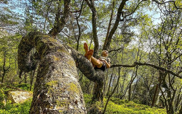 Naturnær: Å løpe – og klatre – barbeint kan være en måte å komme nærmere naturen på. (Foto: Nicholas Forstrønen Bruarøy)