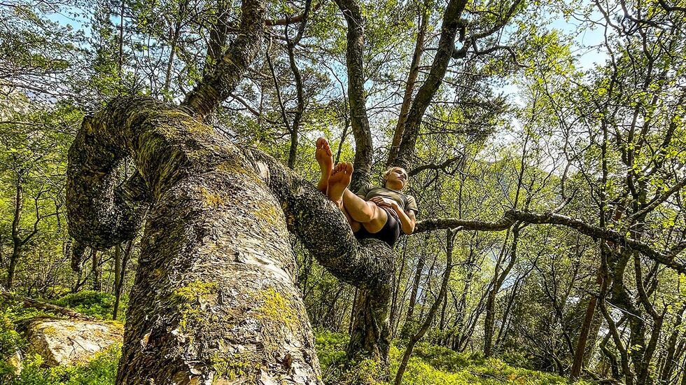 Naturnær: Å løpe – og klatre – barbeint kan være en måte å komme nærmere naturen på. (Foto: Nicholas Forstrønen Bruarøy)