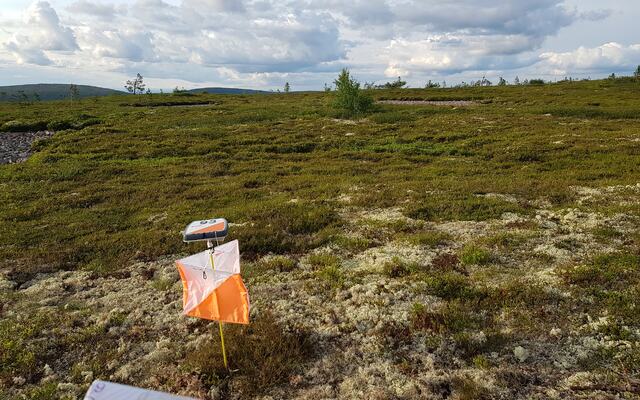Post på snaufjellet. (Foto: Stein Arne Negård)