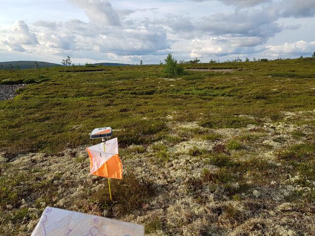 Post på snaufjellet. (Foto: Stein Arne Negård)