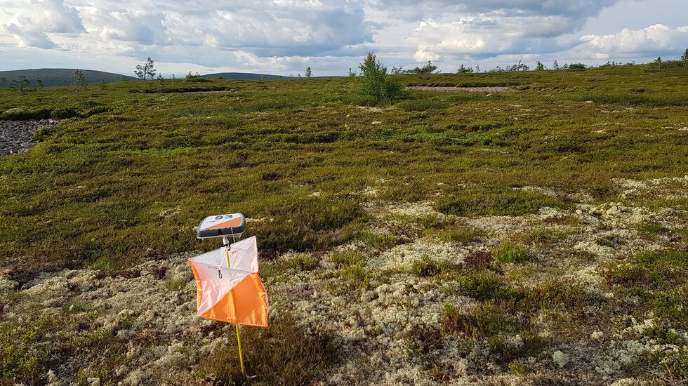 Post på snaufjellet. (Foto: Stein Arne Negård)