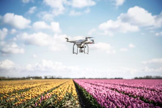 drone som flyr over en blomstereng