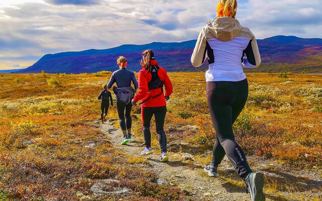 Kondistreninga Harestua arrangerer løpesamling i vakre Vangsfjella 15. - 17. september. (Foto: Morten Helgesen)