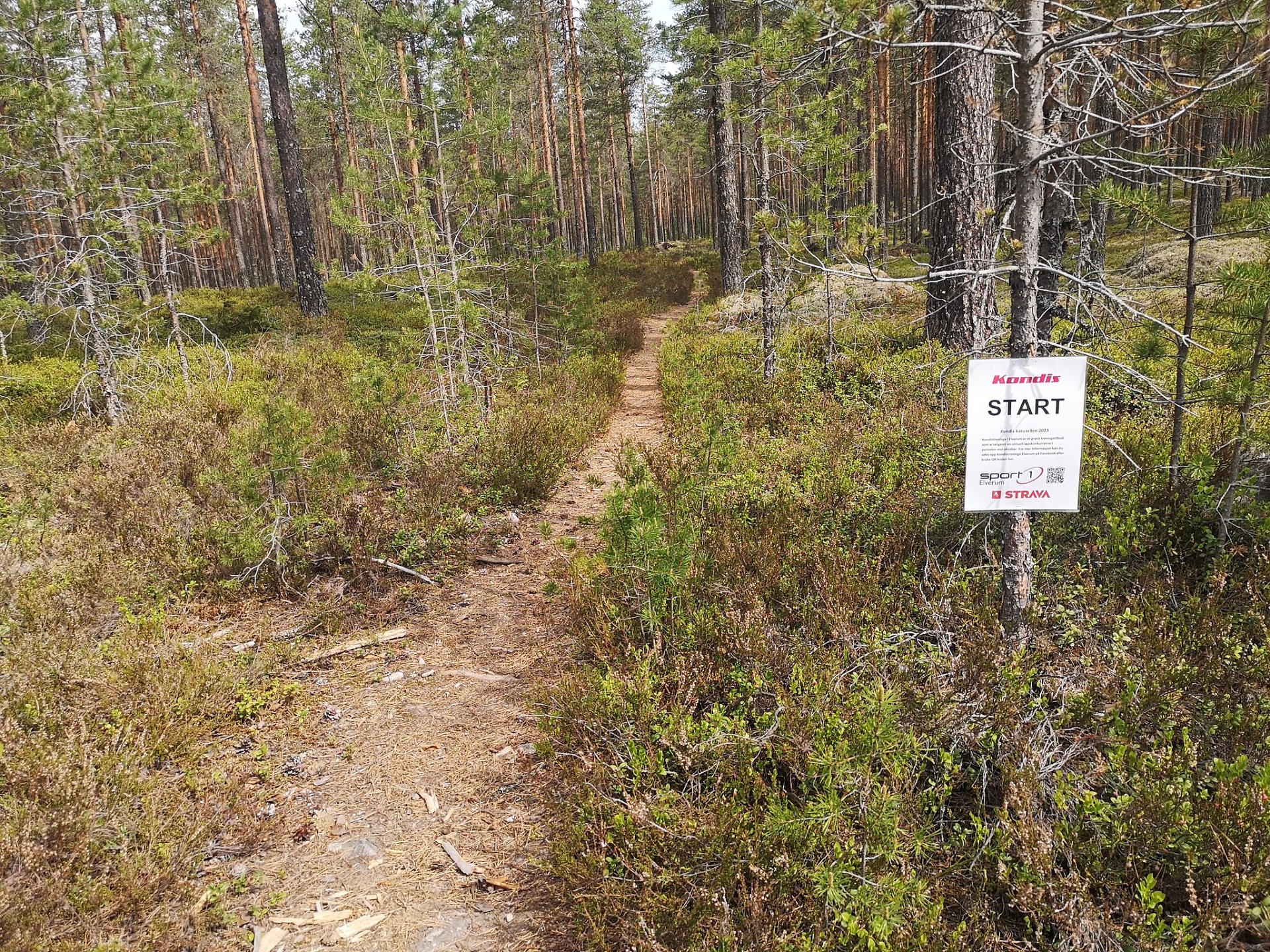 Barnålsrunden.jpg