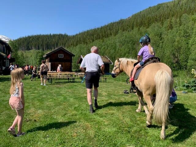 Hest er ofte populært, også på Stavassdagen 2023