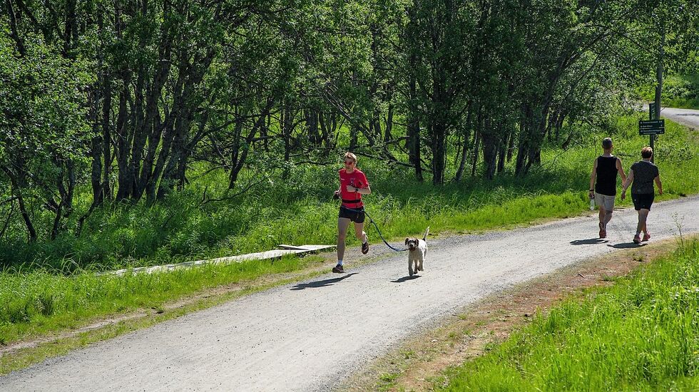 – Ved å trene får man erfaring med å føle ubehag i en ufarlig og lystbetont setting, sier forsker Anders Årnes. (Foto: UiT/Jørn Berger-Nyvoll)