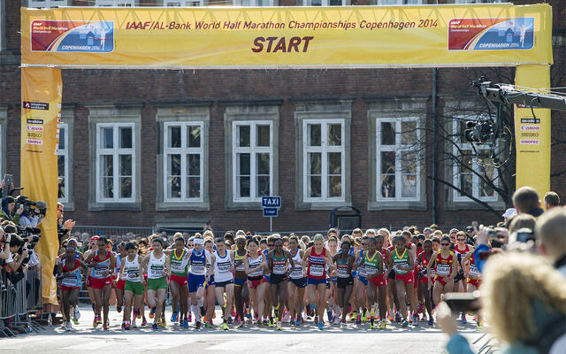 Da VM halvmaraton gikk i København i 2014, var Karoline Bjerkeli Grøvdal en av de som stod i første rekke i elitefeltet. (Foto: Sparta)