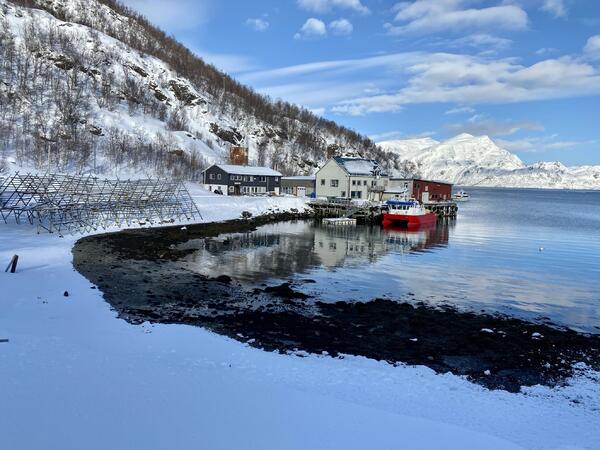 Kvalfjord