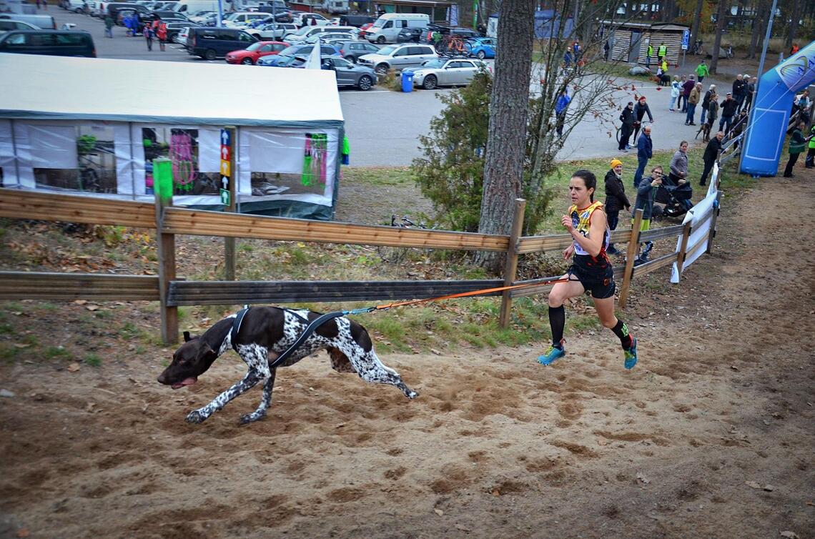 Det er høy fart når Tessa Philippaerts konkurrerer med hund. (Foto: Jeanett Sandberg Håland)