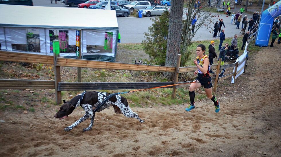 Det er høy fart når Tessa Philippaerts konkurrerer med hund. (Foto: Jeanett Sandberg Håland)
