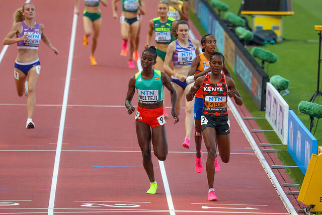 De største 1500 m-stjernene sikra seg plass til tirsdagens finaleløp. (Alle foto: Arne Dag Myking)