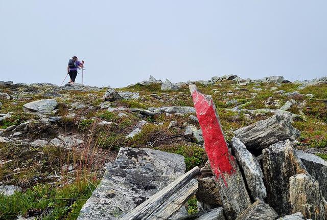 Å følge DNT sine rødmerkede stier kan være en utfordring om man har problemer med å skille mellom rødt og grønt. Denne utfordringen er det nesten ti prosent av alle menn som har. (Foto: Bjørn Johannessen) Å følge DNT sine rødmerkede stier kan være en utfordring om man har problemer med å skille mellom rødt og grønt. Denne utfordringen er det nesten ti prosent av alle menn som har. (Foto: Bjørn Johannessen)