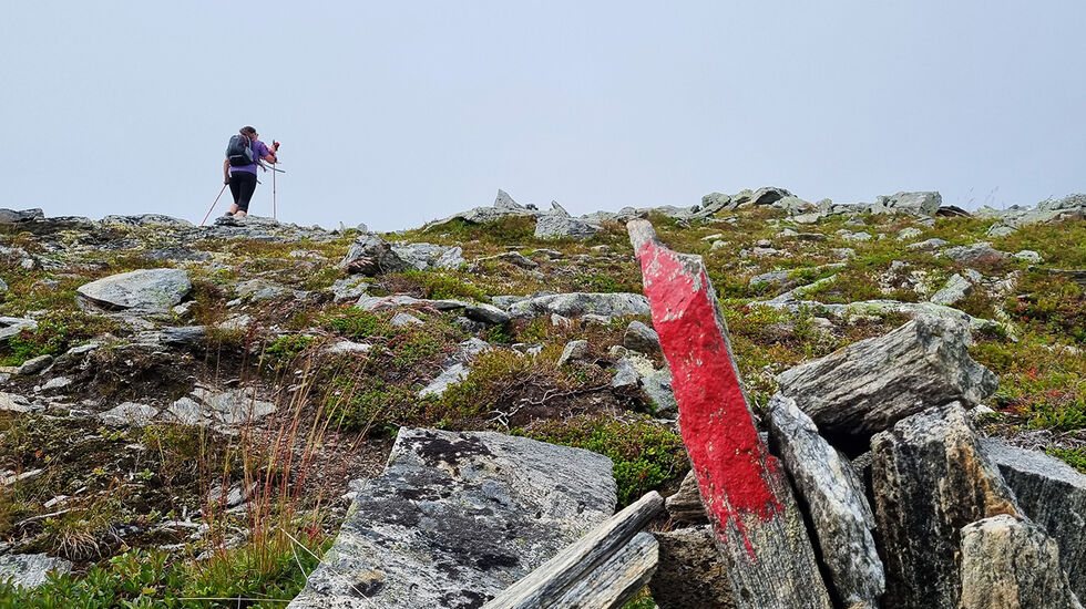 Å følge DNT sine rødmerkede stier kan være en utfordring om man har problemer med å skille mellom rødt og grønt. Denne utfordringen er det nesten ti prosent av alle menn som har. (Foto: Bjørn Johannessen)