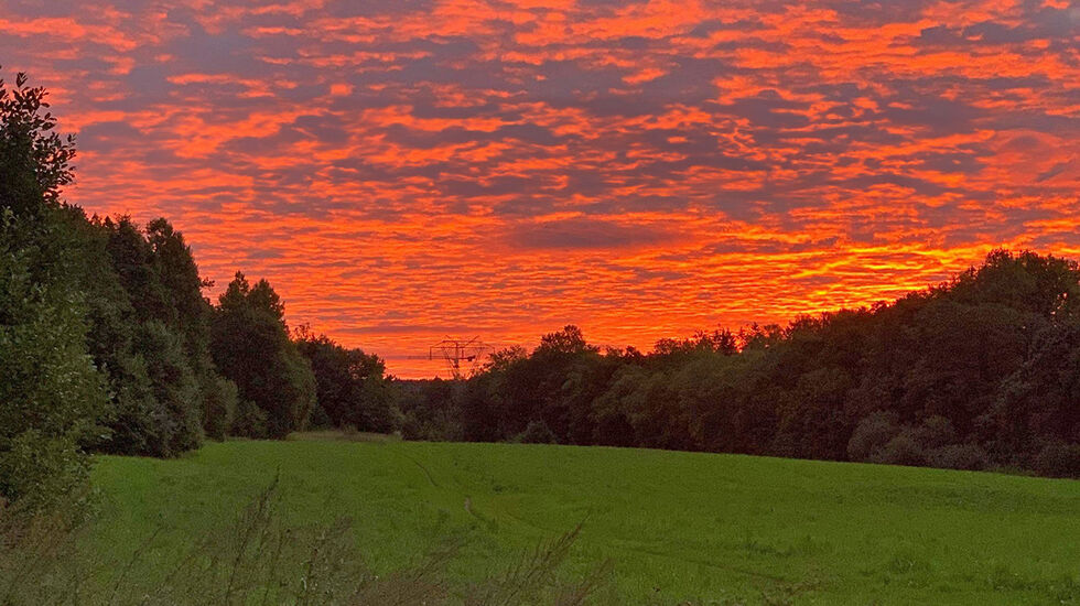 Det nærmer seg veldig Trondheim maraton nå! (Foto: Siri Slotterøy Johnsen)