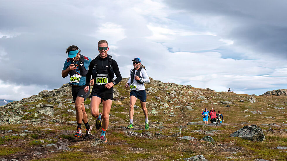 Odd Even Fossen med flere i godt driv over fjellet under årets Oppdal Fjellmaraton. (Foto: Ludvig Yttergren)