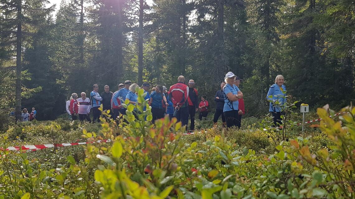 Startklare løpere i høstsol. (Foto: Stein Arne Negård)