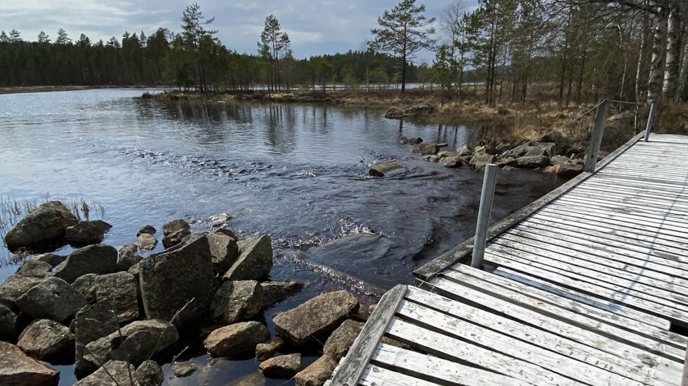 Denne utsikten som kan nytes på alle de tre lengste løpene på lørdag. (Foto fra Finnskogløpets facebookside)