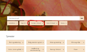 Bilde av nettsiden til Orkland kommune der teksten Hva skjer i Orkland er markert med en rød ring
