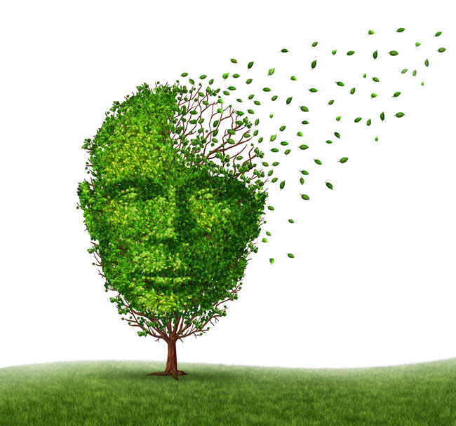 Et grønt tre formet som et menneskehode, der mange blader blåser bort fra hjernen.