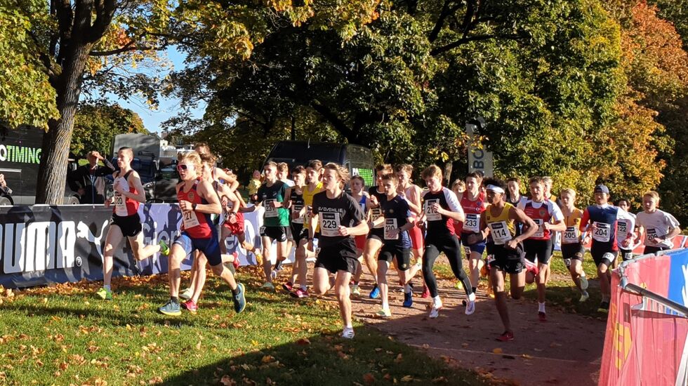 Starten på 4 km der 30 løpere kjempet om UM-plasseringer og medaljer i G 15, G 16 og G 17 år. (Foto: Runar Gilberg)