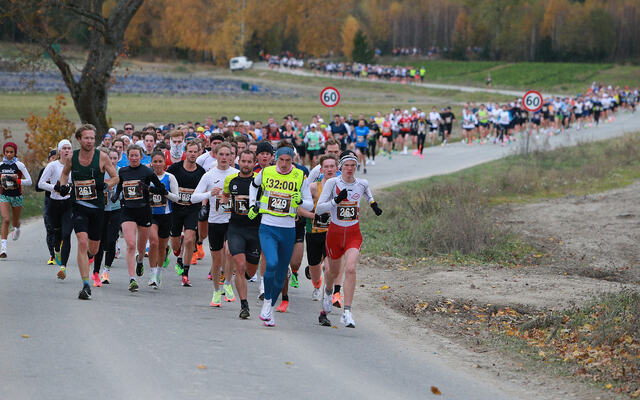 Hytteplanmil-traseen vil ganske sikkert fylles opp av løpere på alle nivå også i oktober 2024. (Foto: Kjell Vigestad)