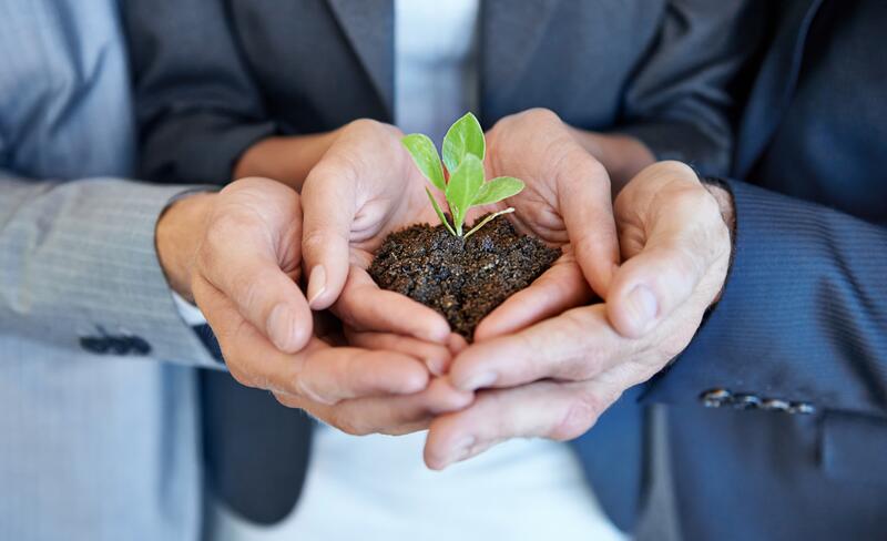 To hender holder en plante som spirer