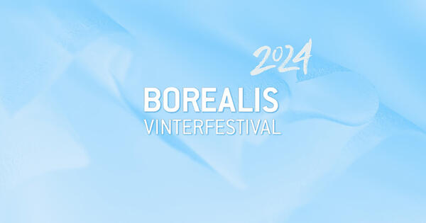Logo Borealis vinterfestival 2024