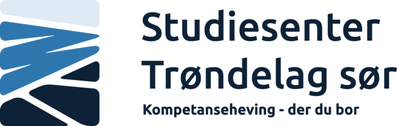 logo SSTS