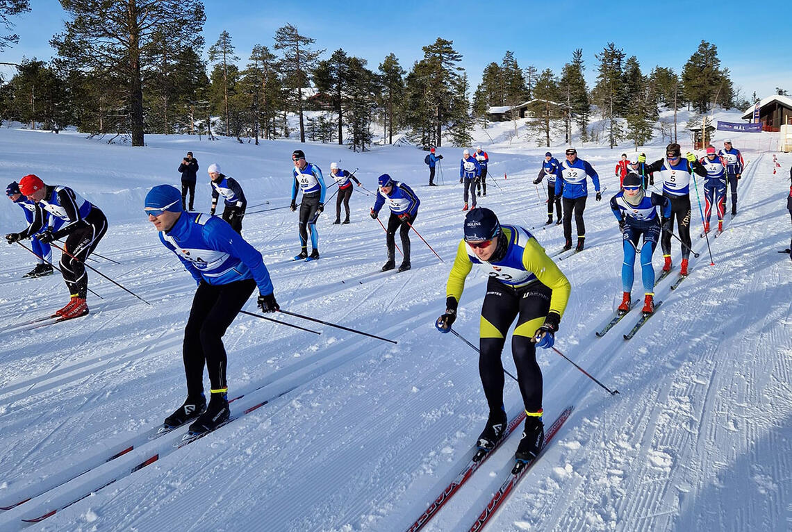 Det var totalt 59 fullførende deltakere i årets utgave av Vikerfjelløpet ved Hønefoss (Foto: Arrangøren)