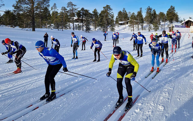 Det var totalt 59 fullførende deltakere i årets utgave av Vikerfjelløpet ved Hønefoss (Foto: Arrangøren)