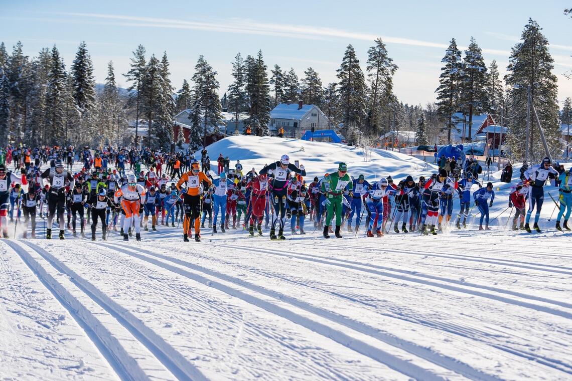 Fra starten for første pulje i Trysil Skimaraton i 2022. (Foto: Jonas Sjögren)
