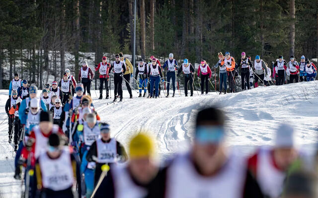 Vasaloppesuken byr på hele 14 løp, og i år blir det rekorddeltakelse fra utlandet. (Foto: Vasaloppet)