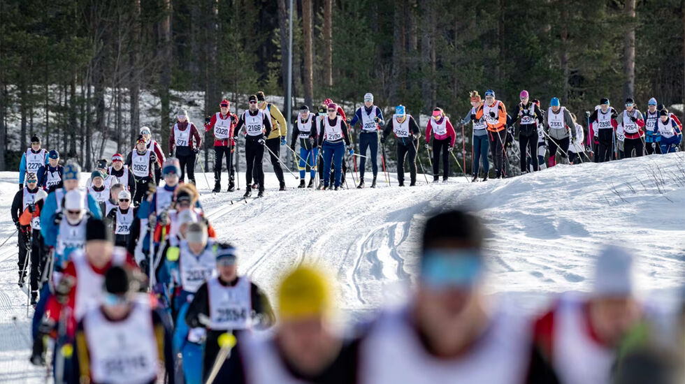Vasaloppesuken byr på hele 14 løp, og i år blir det rekorddeltakelse fra utlandet. (Foto: Vasaloppet)