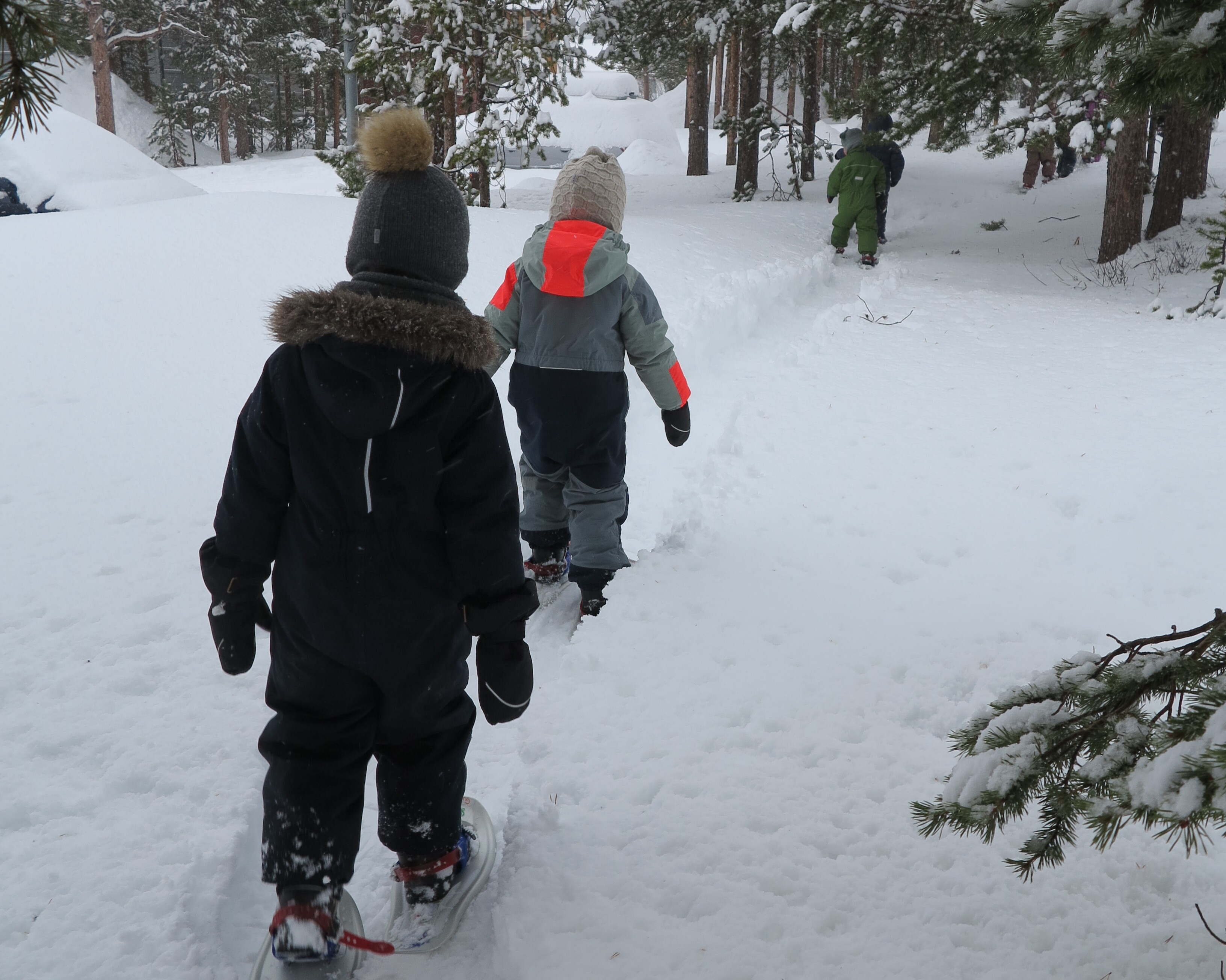 trugetur i eventyrskogen