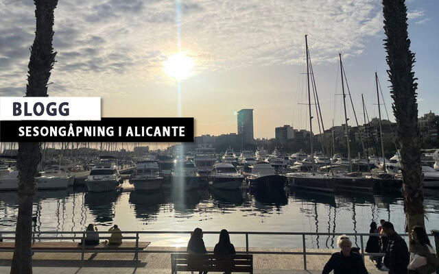 Plutselig var jeg med på løpefest i Alicante. (Foto: Privat)