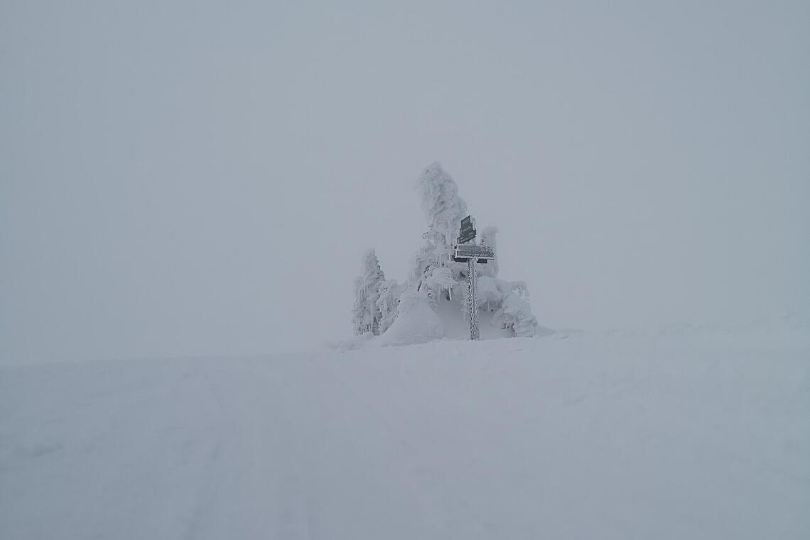 Det var helhvitt men helt stille da Kondis inspiserte forholdene på Raudfjellet mandag. På lørdag er det meldt både snø og kraftig vind. (Foto: Rolf Bakken)